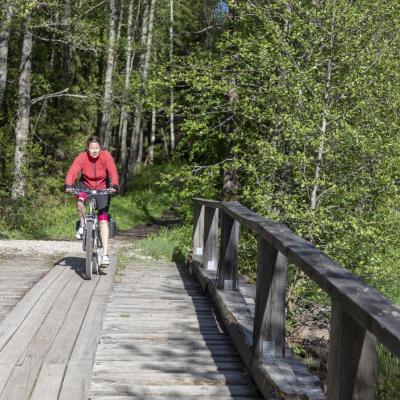 2018 Roheliste Rattaretk Kuidas Elad Korvemaa 299 20180707 1659873588