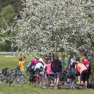 2018 Roheliste Rattaretk Kuidas Elad Korvemaa 34 20180707 1755903836