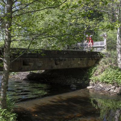 2018 Roheliste Rattaretk Kuidas Elad Korvemaa 348 20180707 1794116652