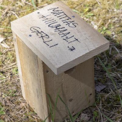 2018 Roheliste Rattaretk Kuidas Elad Korvemaa 386 20180707 1701489871