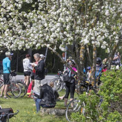 2018 Roheliste Rattaretk Kuidas Elad Korvemaa 39 20180707 1379885295