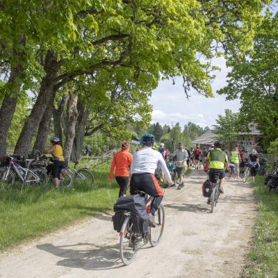 2018 Roheliste Rattaretk Kuidas Elad Korvemaa 42 20180707 1680669905