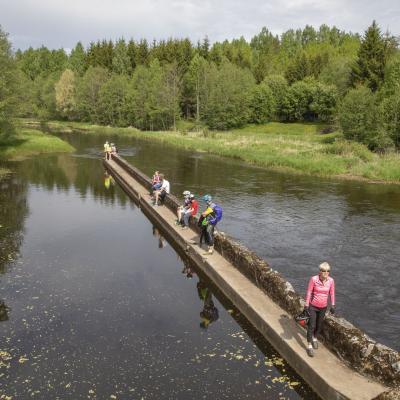 2018 Roheliste Rattaretk Kuidas Elad Korvemaa 47 20180707 1128335049