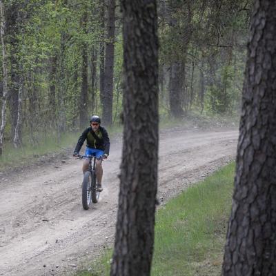 2018 Roheliste Rattaretk Kuidas Elad Korvemaa 99 20180707 1644115797