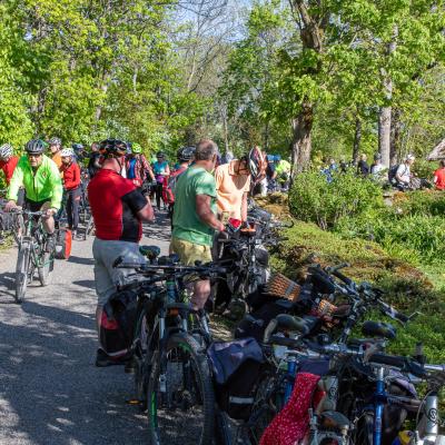 2019 Kuidas Elad Muhumaa 116 20190828 1758259552