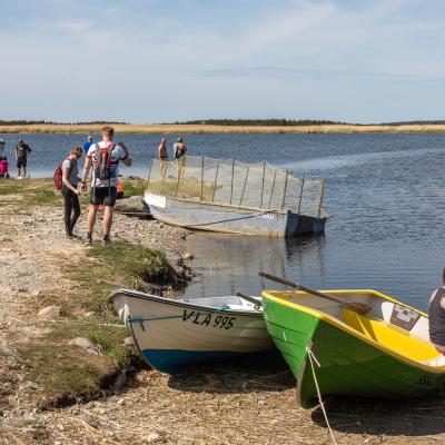 2019 Kuidas Elad Muhumaa 138 20190828 1439000065