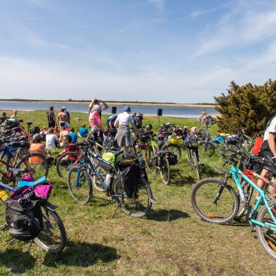 2019 Kuidas Elad Muhumaa 140 20190828 1270362172