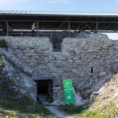 2019 Kuidas Elad Muhumaa 184 20190828 1334541775