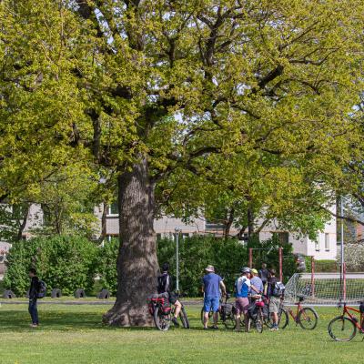 2019 Kuidas Elad Muhumaa 227 20190828 2022470158