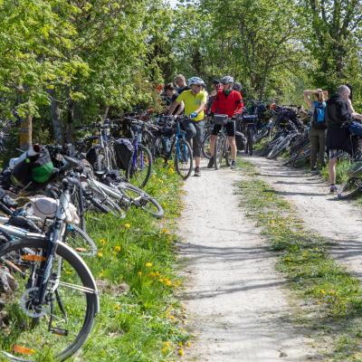 2019 Kuidas Elad Muhumaa 57 20190828 1637645607