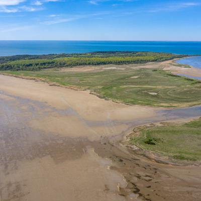 2019 Kuidas Elad Muhumaa 75 20190828 1168546692