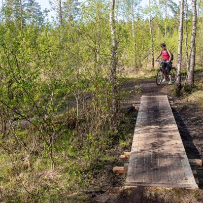 2019 Kuidas Elad Muhumaa 87 20190828 1594825310